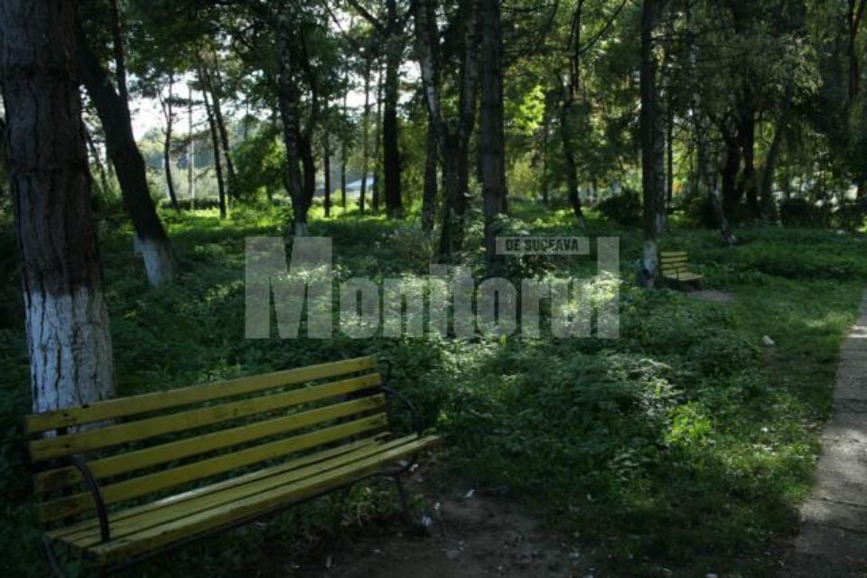 Meciul continuă: Flutur îl acuză pe Mîrza de interese funciare la spital