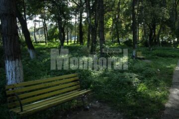 Meciul continuă: Flutur îl acuză pe Mîrza de interese funciare la spital