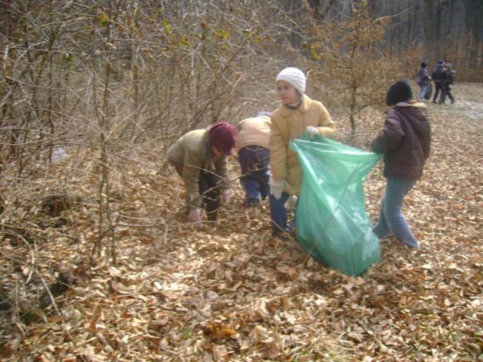 Micii ecologisti Cajvana