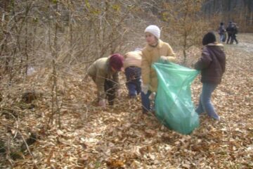 Micii ecologisti Cajvana