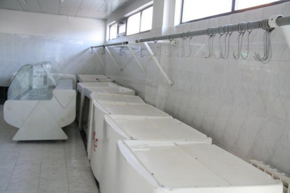 Prea devreme: Catolicii nu vor avea miei de Sărbătorile Pascale Prea devreme: Catolicii nu vor avea miei de Sărbătorile Pascale