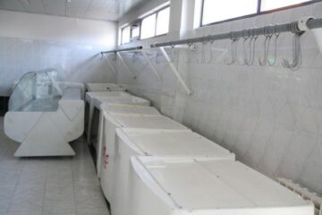 Prea devreme: Catolicii nu vor avea miei de Sărbătorile Pascale