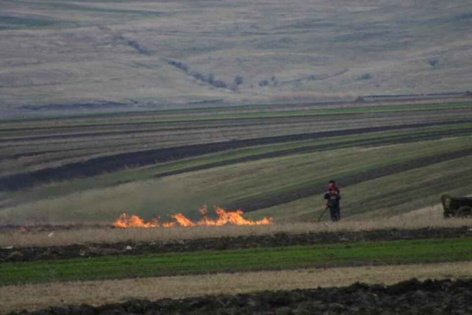 Padurea, pusă în pericol de inconstiența unor fumători Padurea, pusă în pericol de inconstiența unor fumători