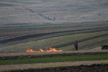 Padurea, pusă în pericol de inconstiența unor fumători