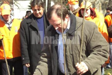Democrat-liberalii suceveni au plantat copaci în zona municipiului Fălticeni