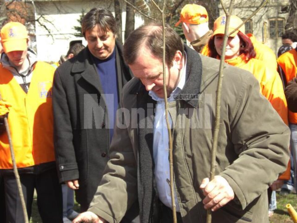 Democrat-liberalii suceveni au plantat copaci în zona municipiului Fălticeni Democrat-liberalii suceveni au plantat copaci în zona municipiului Fălticeni
