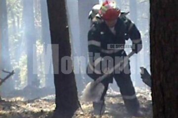 Risc: Pădurea din Marginea, pusă în pericol de incendierea vegetației uscate
