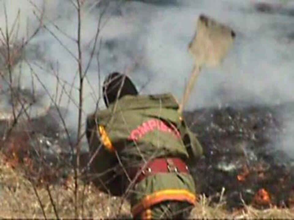 Pericol: Panică în județ din cauza incendierii terenurilor agricole Pericol: Panică în județ din cauza incendierii terenurilor agricole