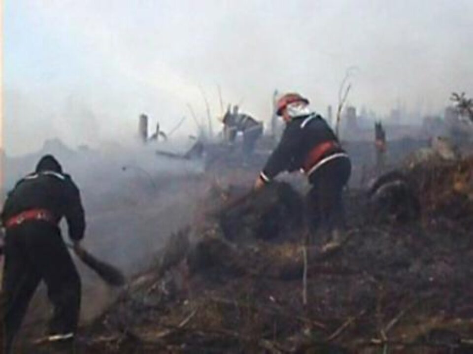 Probleme peste tot: Pădurea din Marginea, pusă în pericol de incendierea vegetației uscate Probleme peste tot: Pădurea din Marginea, pusă în pericol de incendierea vegetației uscate