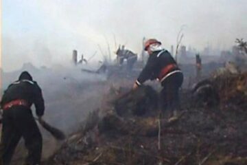 Probleme peste tot: Pădurea din Marginea, pusă în pericol de incendierea vegetației uscate