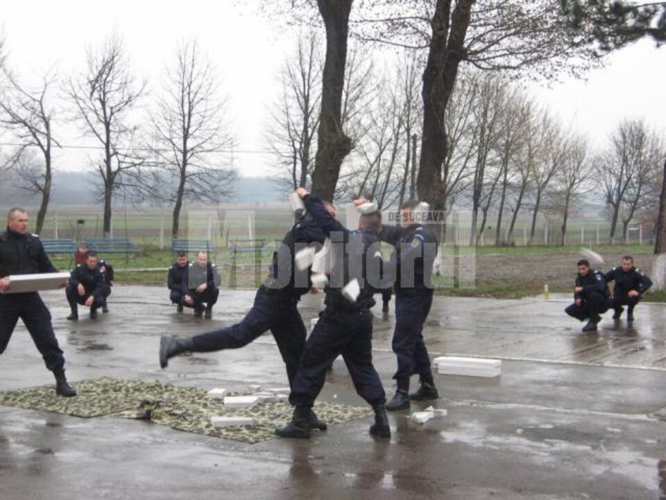 Sărbătoare: Demonstrație de forță și măiestrie la Ziua Jandarmeriei Sărbătoare: Demonstrație de forță și măiestrie la Ziua Jandarmeriei