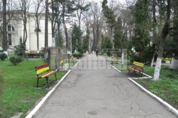 Perspectivă: „Pleiada Bucovinei”