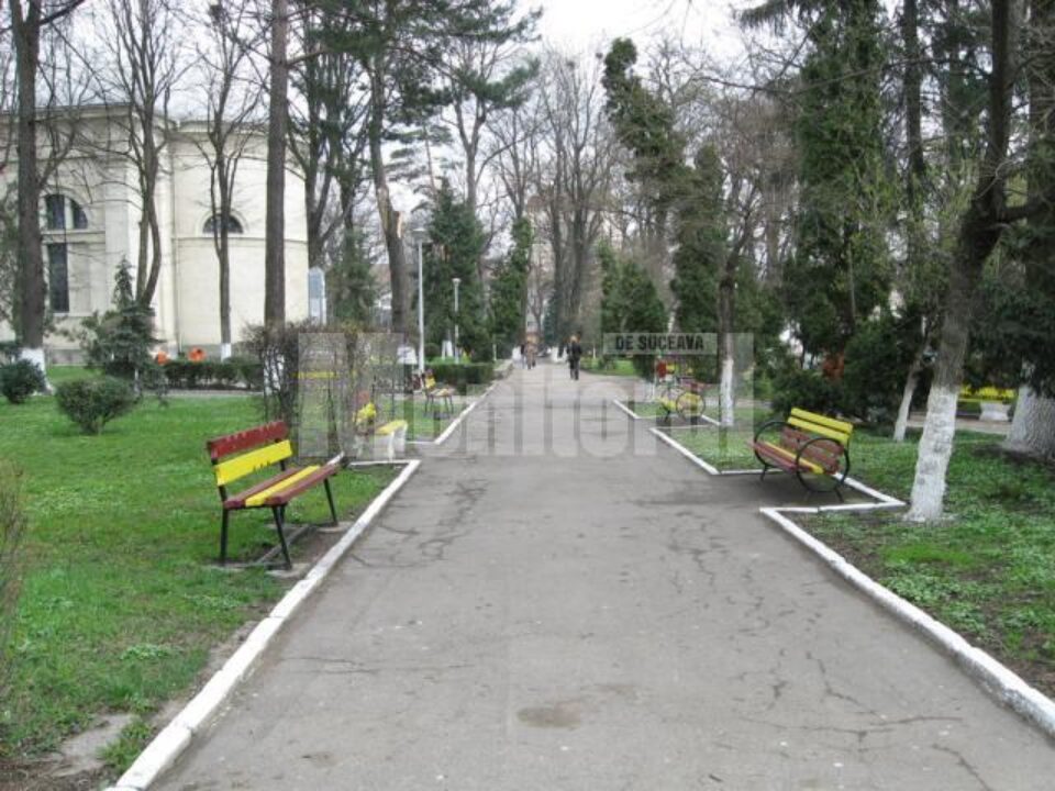 Aleea din Parcul Central care poate fi jalonată cu busturile personalităților proeminente ale Bucovinei Aleea din Parcul Central care poate fi jalonată cu busturile personalităților proeminente ale Bucovinei