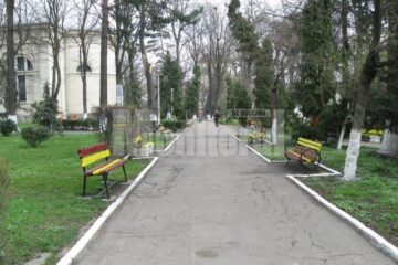 Aleea din Parcul Central care poate fi jalonată cu busturile personalităților proeminente ale Bucovinei