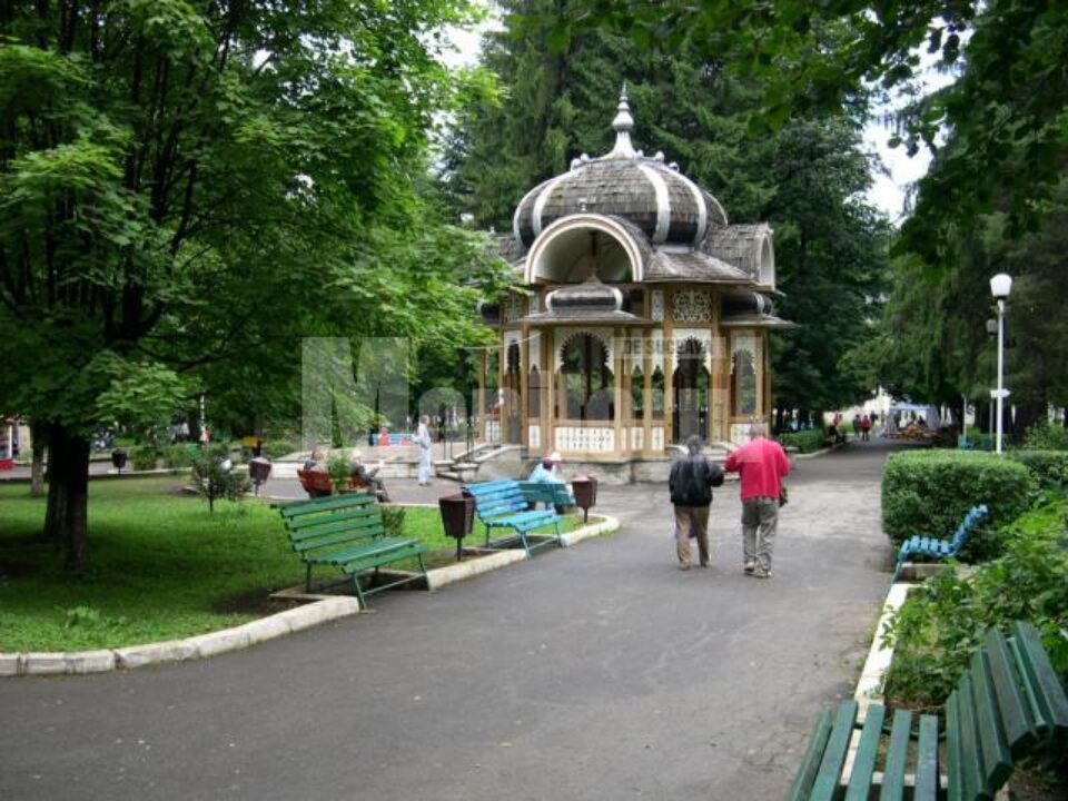 Training internațional Synergy la Vatra Dornei