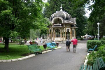 Training internațional Synergy la Vatra Dornei