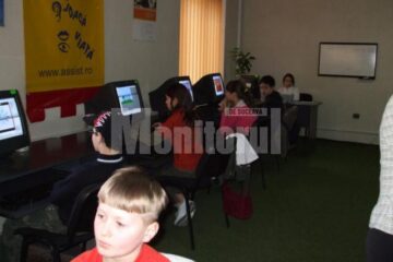 Micii informaticieni