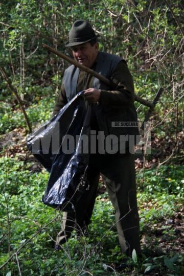 Luna Pădurii: Peste o sută de silvicultori, la curățenie în Parcul Șipote