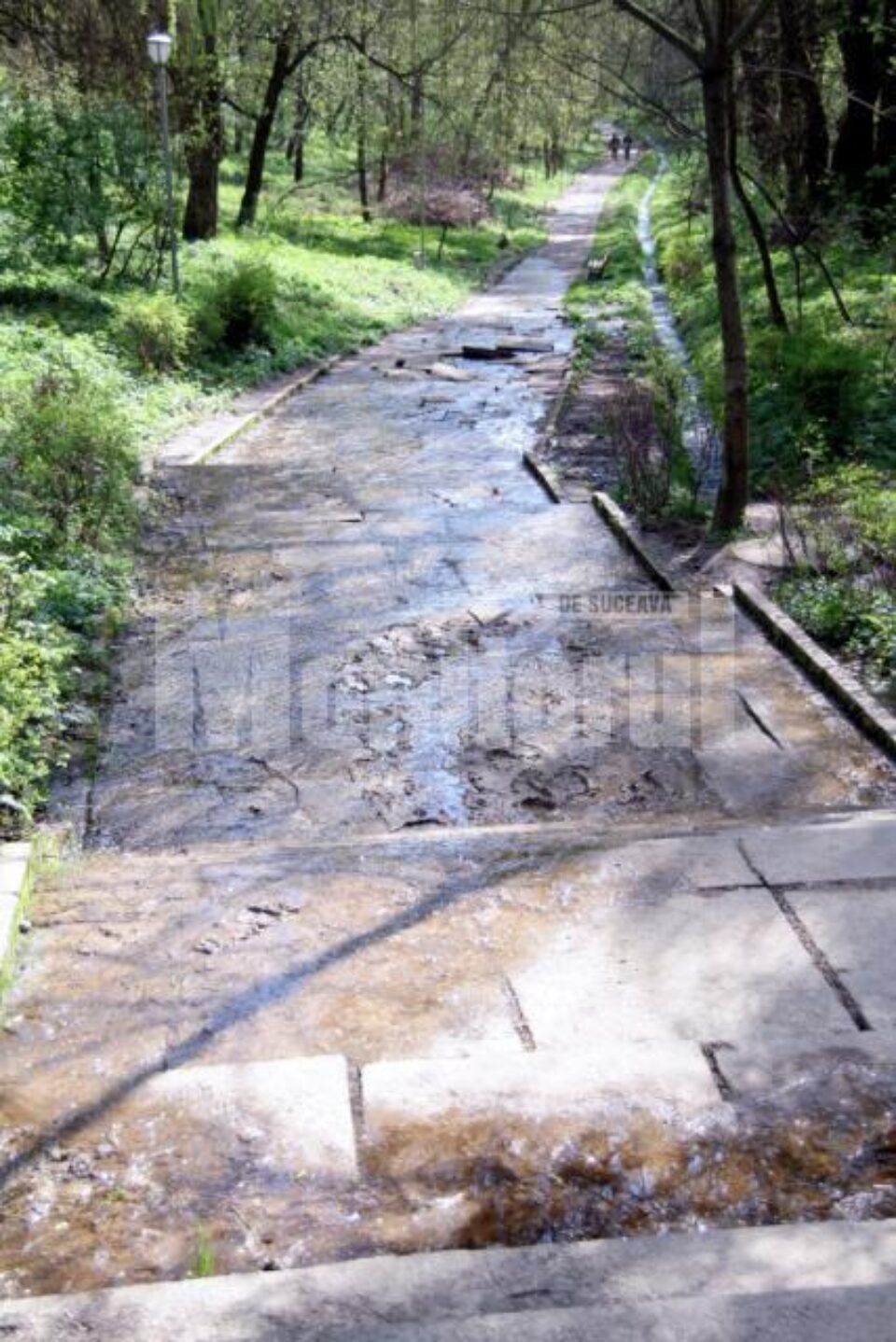 Alei distruse în Parcul Șipote