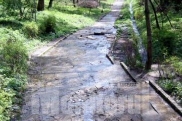 Alei distruse în Parcul Șipote