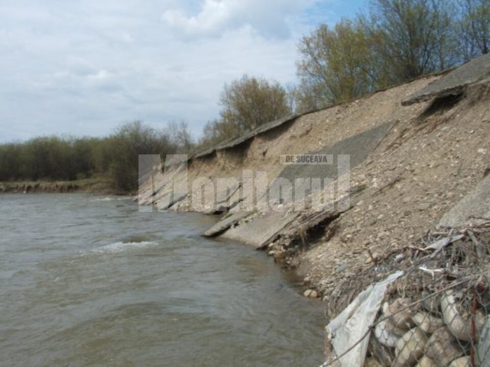 Digul de la Berchișești Digul de la Berchișești