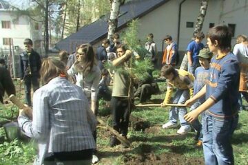 "Ziua Pădurii” la Colegiul Național "Petru Rareș"
