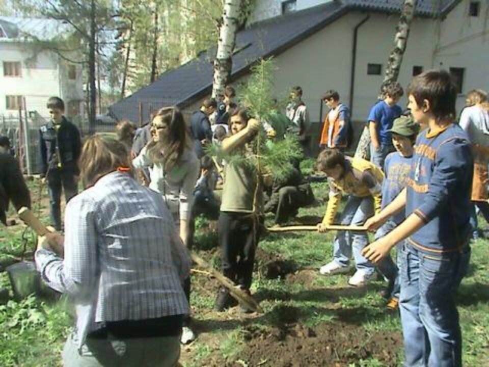 "Ziua Pădurii” la Colegiul Național "Petru Rareș"