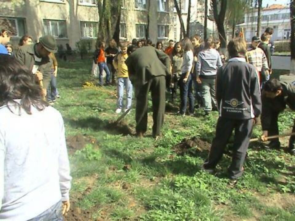"Ziua Pădurii” la Colegiul Național "Petru Rareș"