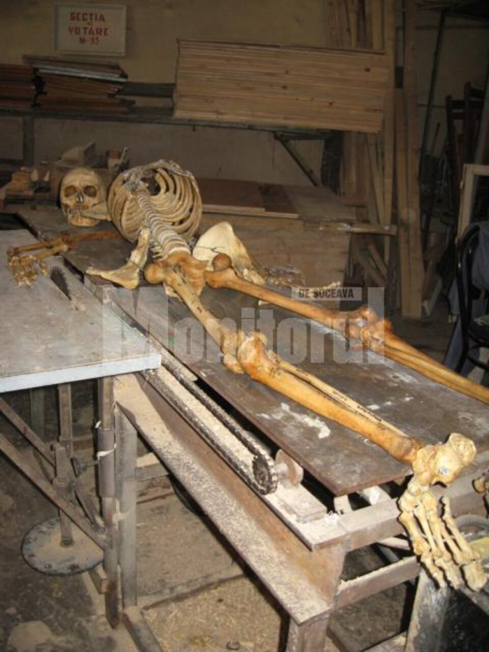 Walter Eckert și „Ionică” care își caută liniștea