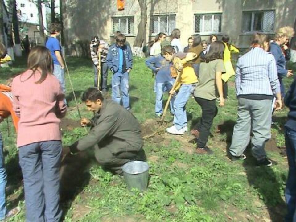 "Ziua Pădurii” la Colegiul Național "Petru Rareș"