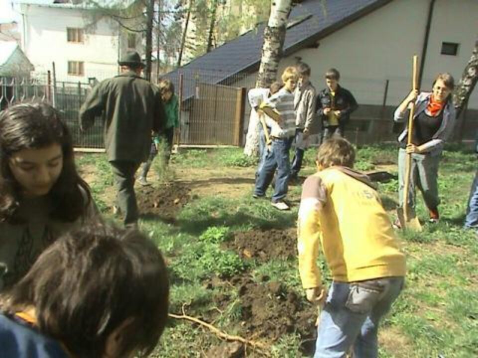 "Ziua Pădurii” la Colegiul Național "Petru Rareș"