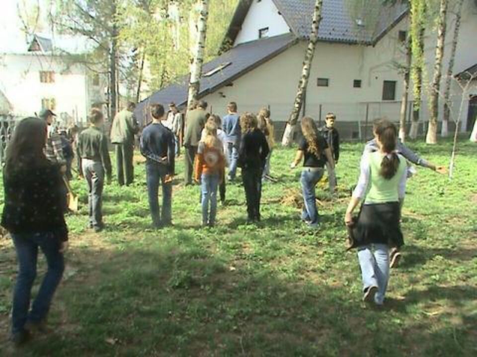 "Ziua Pădurii” la Colegiul Național "Petru Rareș"