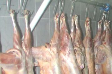 Consumatorii sunt sfătuiți să cumpere miei doar din spațiile autorizate