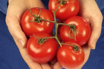 Foto: FOODFOLIO
