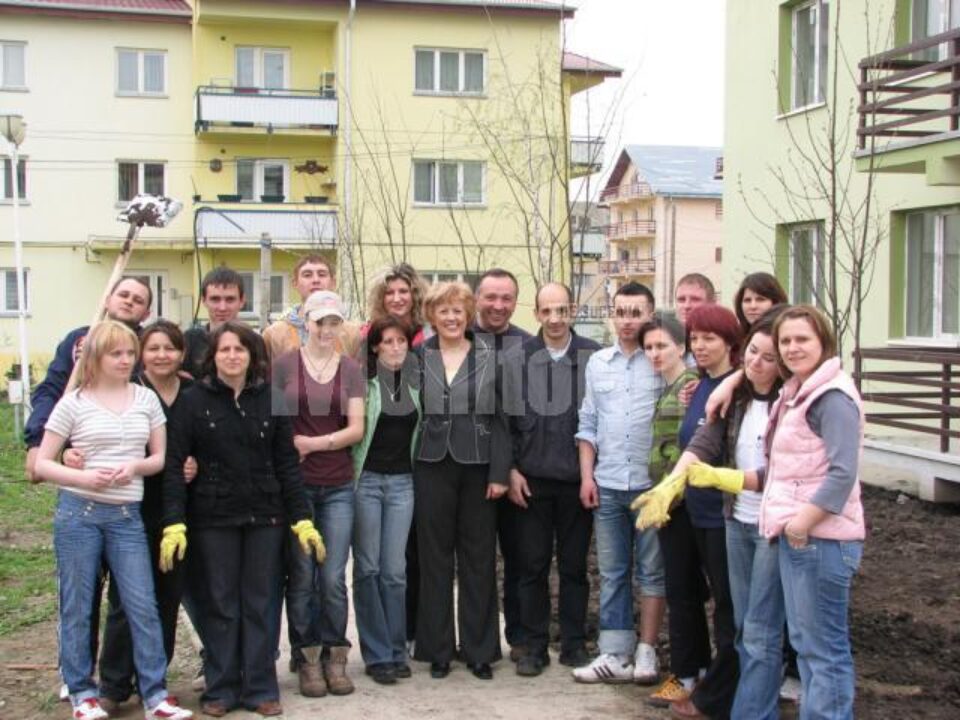 OMV a plantat o sută de copaci în municipiul Suceava