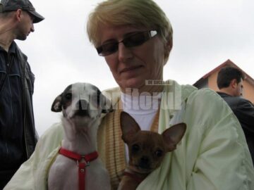 În centrul atenției: Câinii de rasă, vedetele zilei