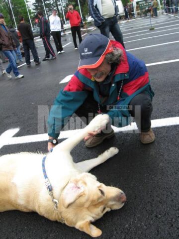 În centrul atenției: Câinii de rasă, vedetele zilei