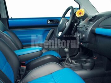 VW Beetle are 10 anișori