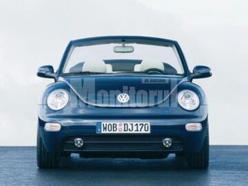 VW Beetle are 10 anișori