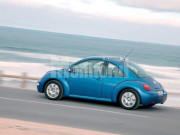 VW Beetle are 10 anișori
