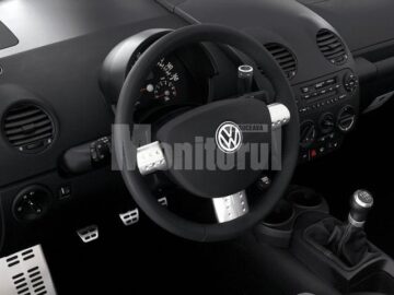 VW Beetle are 10 anișori