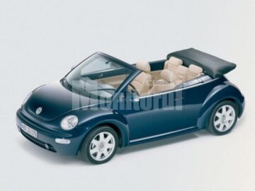 VW Beetle are 10 anișori