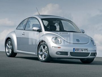 VW Beetle are 10 anișori