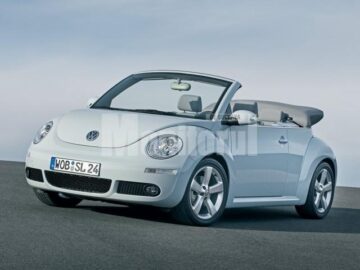 VW Beetle are 10 anișori