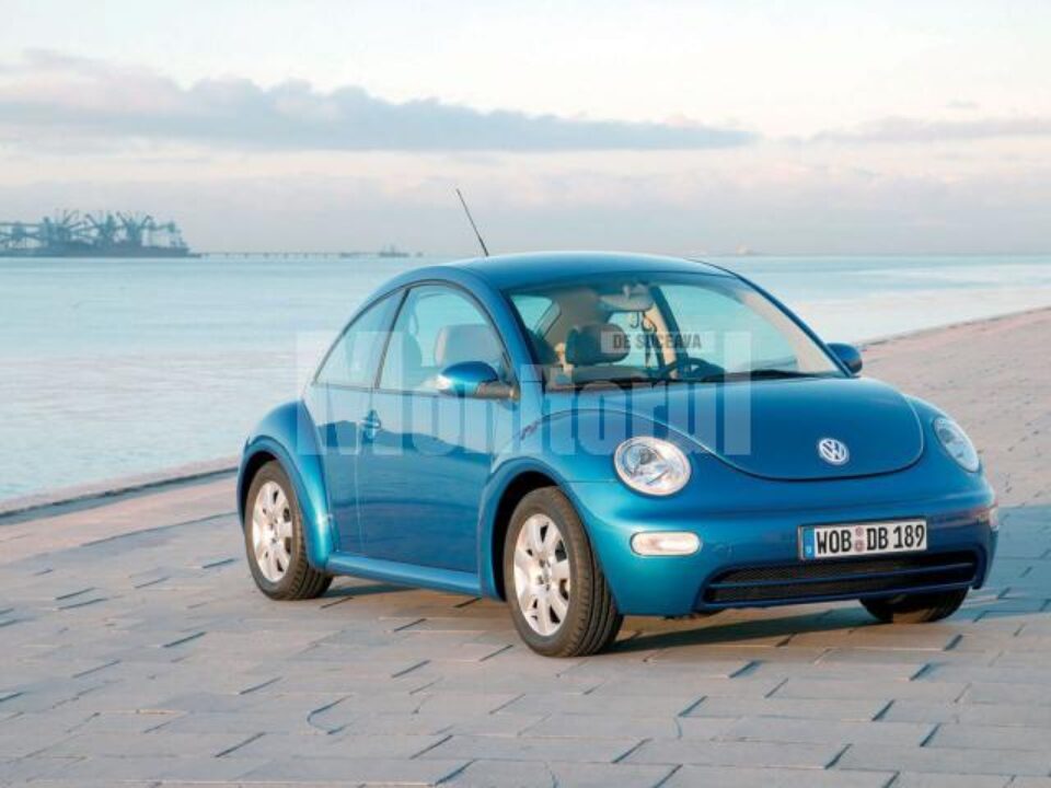 VW Beetle are 10 anișori