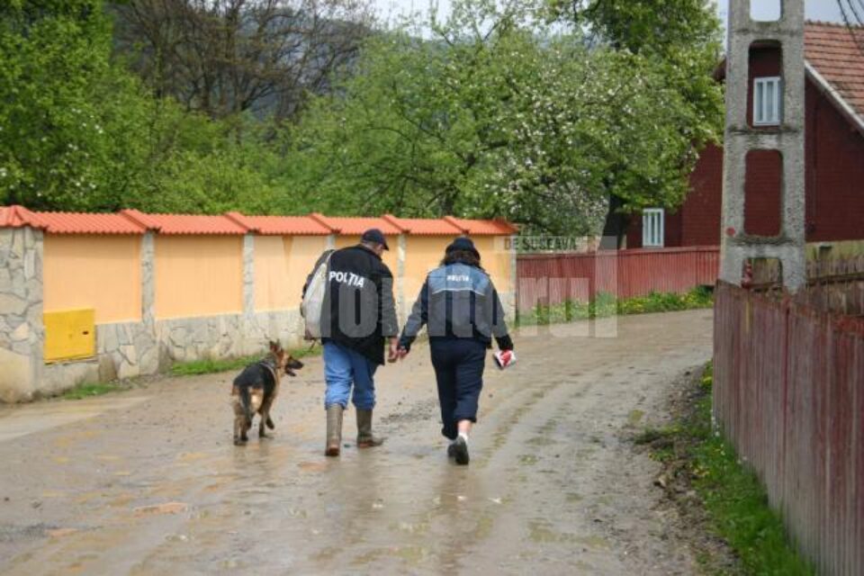 Polițiștii scotocesc intreaga zona cu câinii de urmă Polițiștii scotocesc intreaga zona cu câinii de urmă