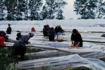 Mulți români care apelează la firme de intermediere reclamă abuzuri ale acestora. Foto: CORBIS