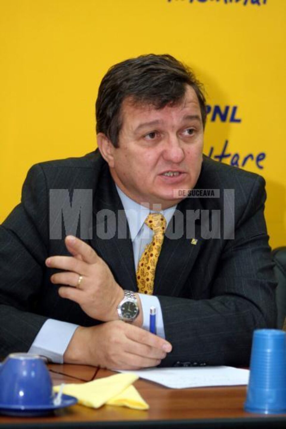 Eficiență: PNL dă banii alocați concertelor electorale pentru înființarea „cabinetului cetățeanului”