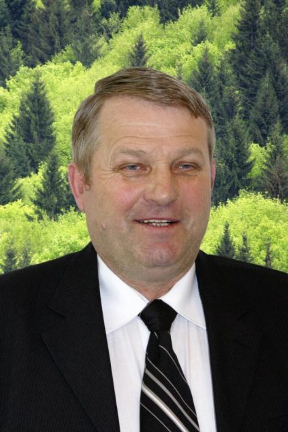 Alegeri: Primar din Brodina pentru Brodina