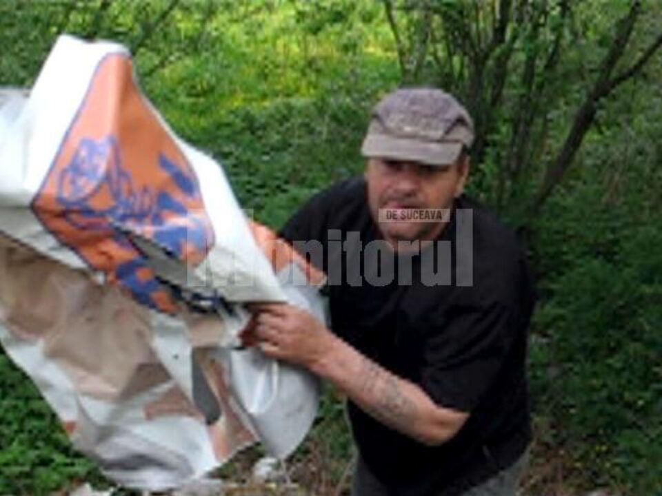 Nereguli: Un banner PD-L din Dărmnești a fost furat